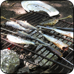 No they are not pickled herrings again !